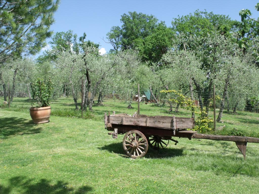 Villa Agriturismo Il Viaio Fiesole Exterior foto